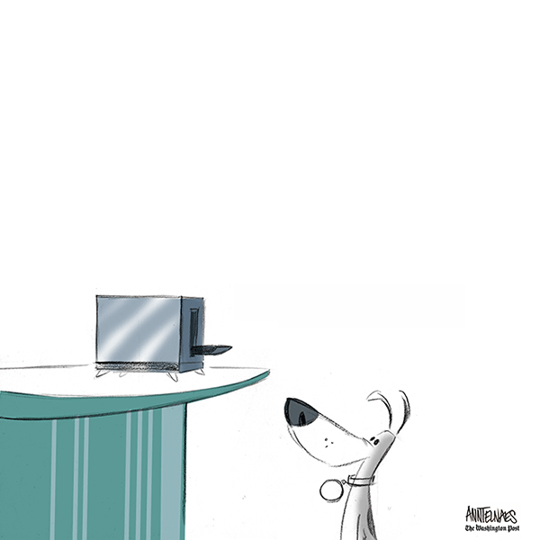 Political cartoon by Ann Telnaes, “Ruby Giuliani pays”, 2024-11-17.